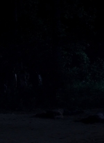twd0503-1671.jpg