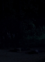 twd0503-1673.jpg
