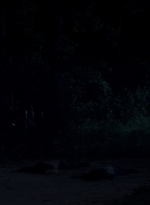 twd0503-1674.jpg