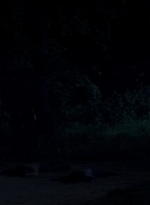twd0503-1676.jpg