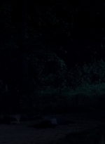 twd0503-1677.jpg