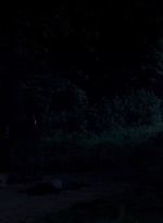twd0503-1679.jpg