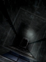 twd0504-2578.jpg