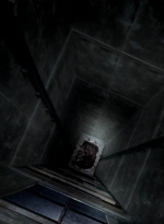 twd0504-2579.jpg