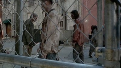 twd0506-3225.jpg