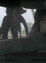 twd0506-2222.jpg