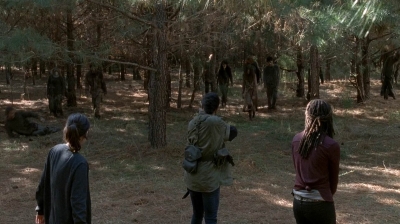 twd0515-2009.jpg
