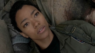 twd0516-1315.jpg