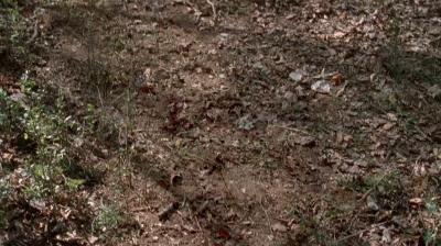 twd0516-2547.jpg