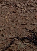 twd0516-2522.jpg