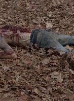 twd0516-2526.jpg