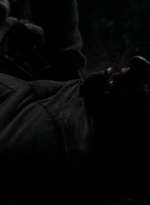 twd0516-4576.jpg