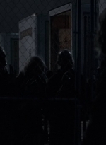 twd0516-4610.jpg