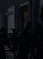 twd0516-4615.jpg