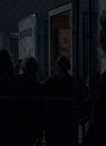 twd0516-4617.jpg