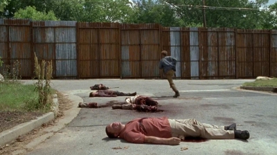 twd0602-2750.jpg