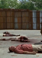 twd0602-2747.jpg