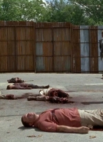 twd0602-2748.jpg