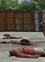 twd0602-2749.jpg