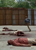 twd0602-2750.jpg