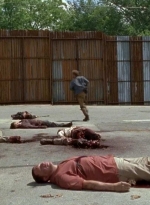 twd0602-2751.jpg