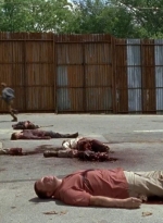 twd0602-2753.jpg