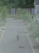 twd0602-3490.jpg