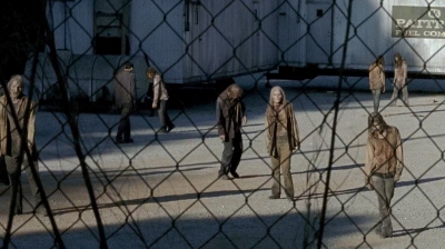 twd0606-0986.jpg