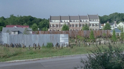 twd0607-2503.jpg