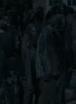 twd0609-2479.jpg