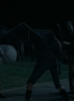 twd0609-2903.jpg