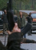 twd0616-1100.jpg