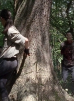 twd0704-2133.jpg