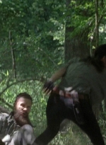 twd0704-2145.jpg