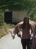 twd0704-2696.jpg