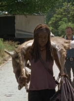 twd0704-2698.jpg