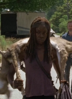 twd0704-2699.jpg