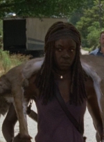 twd0704-2700.jpg