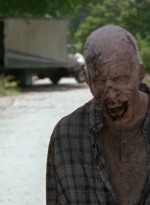 twd0704-3003.jpg