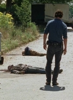 twd0704-3097.jpg