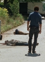 twd0704-3101.jpg