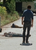 twd0704-3102.jpg