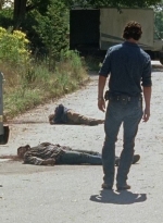 twd0704-3103.jpg