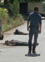 twd0704-3105.jpg