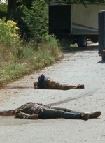 twd0704-3123.jpg