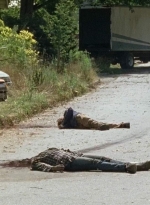 twd0704-3125.jpg