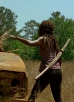 twd0704-3722.jpg