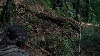 twd0706-2394.jpg