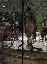 twd0706-2208.jpg