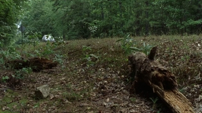 twd0707-1431.jpg